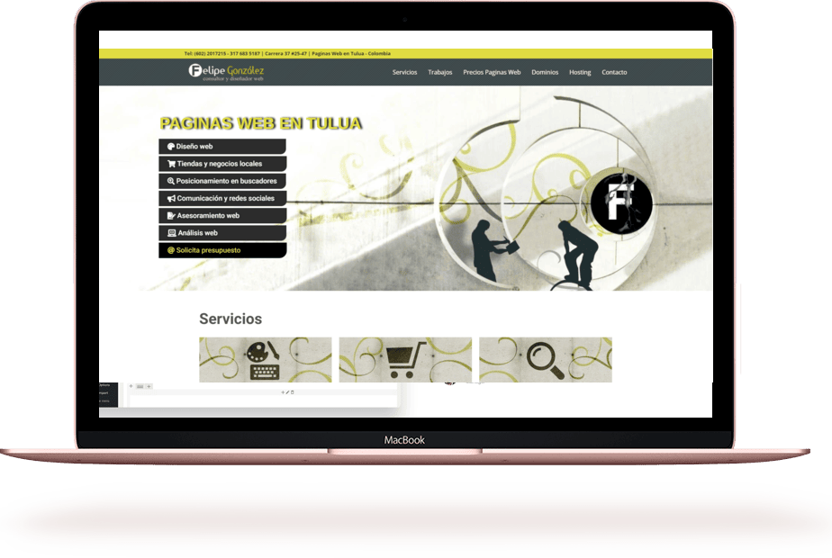 paginas web en Palmira