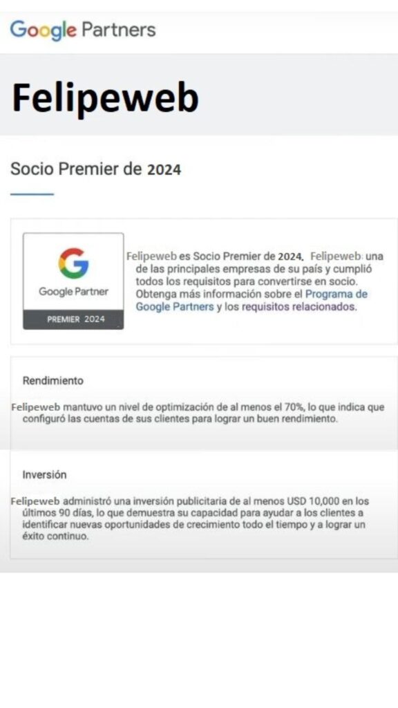 google partner en Palmira